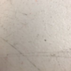 Meet your Posher, Billy